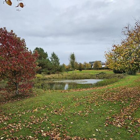 Hazelwood Country House Adare Luaran gambar