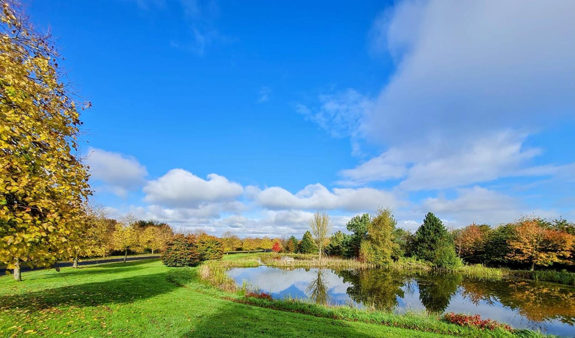 Hazelwood Country House Adare Luaran gambar