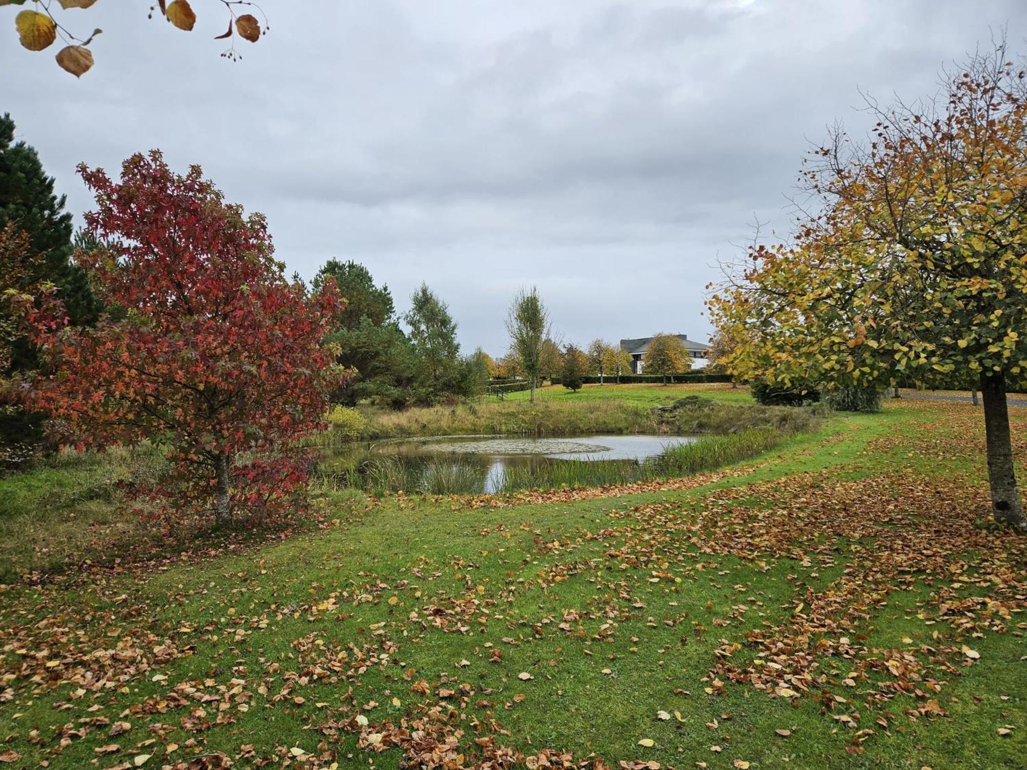 Hazelwood Country House Adare Luaran gambar