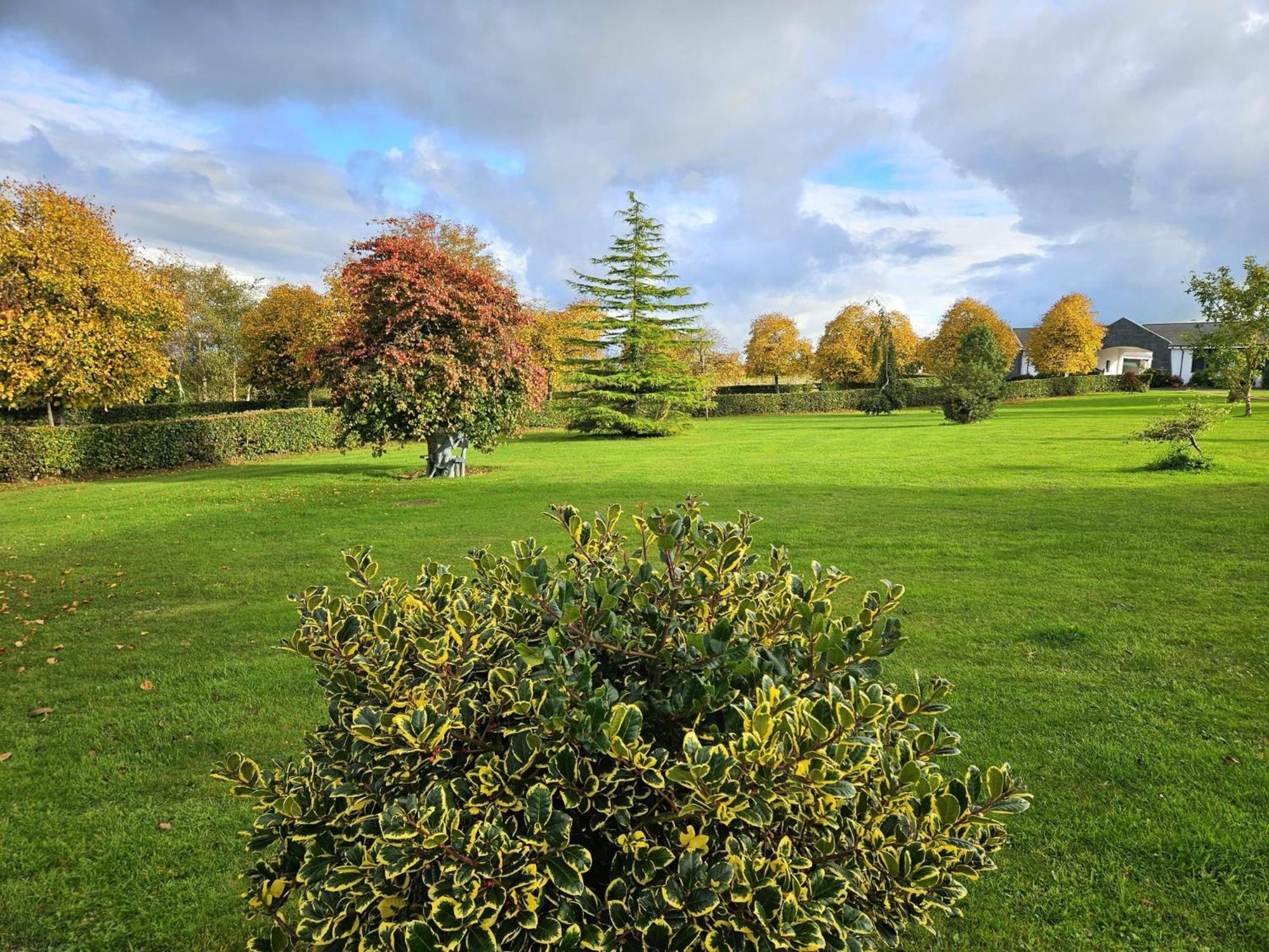 Hazelwood Country House Adare Luaran gambar