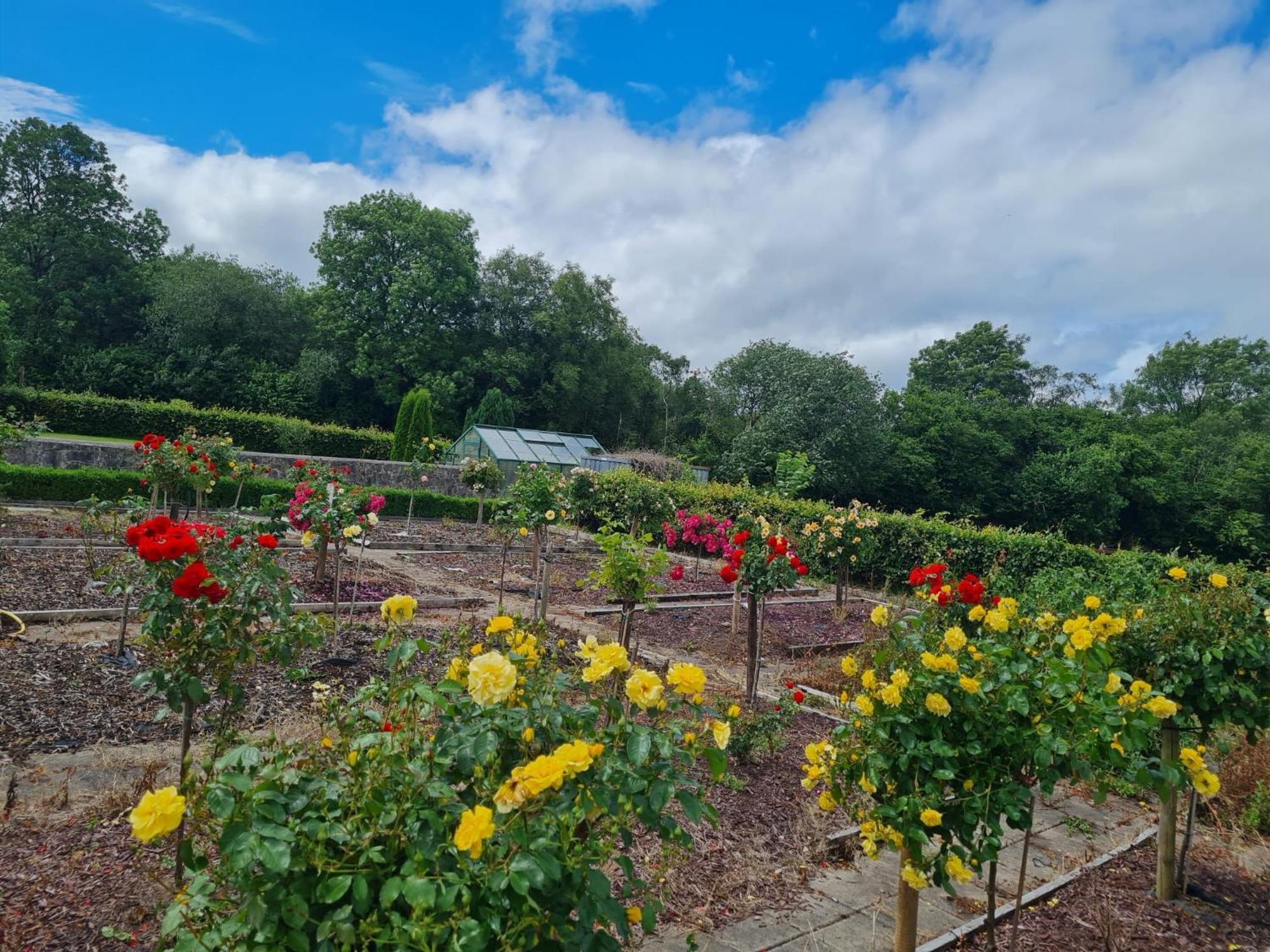 Hazelwood Country House Adare Luaran gambar
